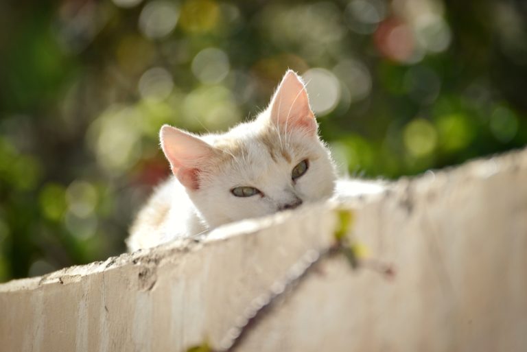 Sonne, Strand, Sonnenbrand!