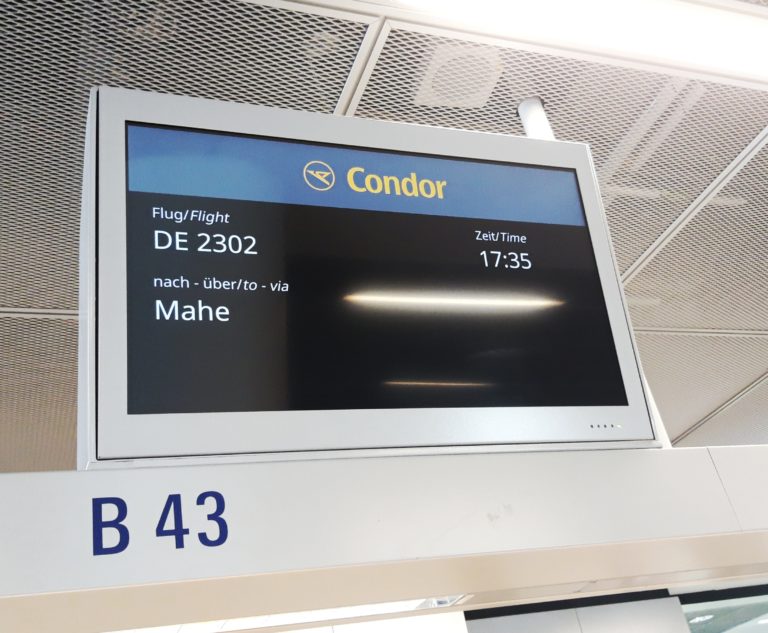 Dorthin, wo die wilden Raffaelos leben.